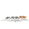 Hendrickson Bushing And Bearing Service Kit, Kingpin, Axle, Front, Axle Set, Includes Kit Nos 60961-009 And-039 60961-040 - alternate 6